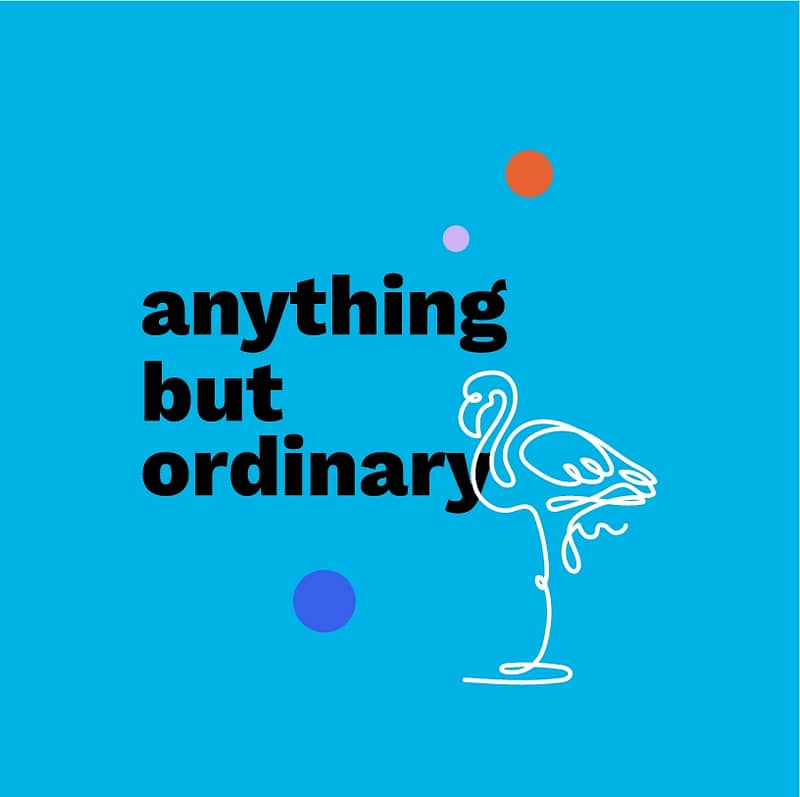 anything but ordinary